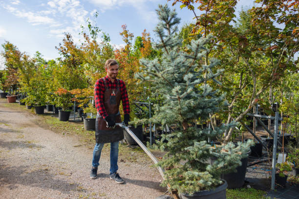 Best Commercial Tree Services  in La Crosse, WI